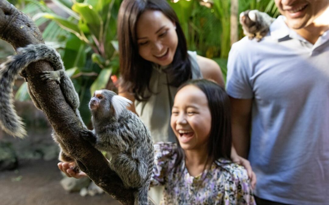 School-Holiday-Broadbeach-Accommodation